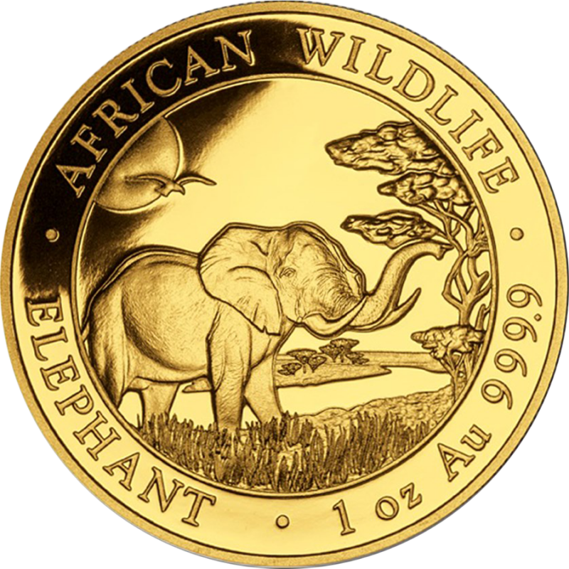 Slon africký  Investiční mince 1 Oz