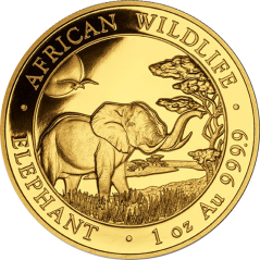 Investičná minca Africký slon 1 Oz